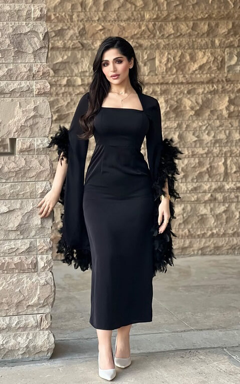 فستان أسود كلاسيكي مع أكمام ترندي