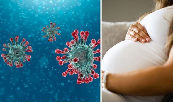 هل يؤثّر فيروس كورونا سلبياً على المرأة الحامل وجنينها؟ سألنا الطبيب 1