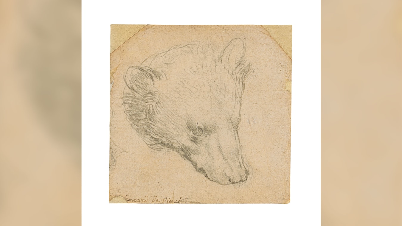 لوحة رأس الدب للرسام ليوناردو دافنشي 