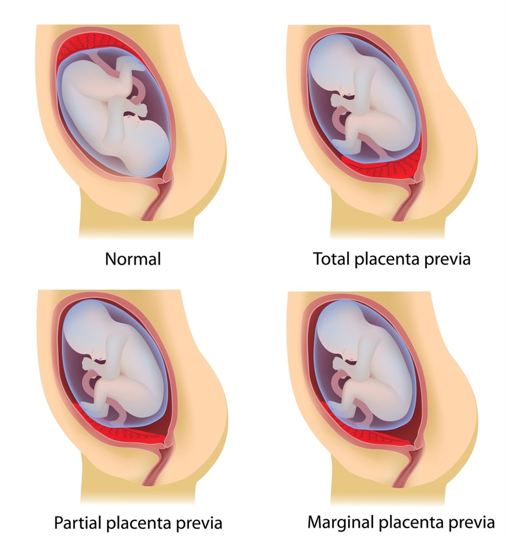 إليك بالتفصيل وضعية الجنين في الشهر الثامن
