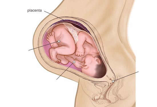هذه هي وضعية الجنين في الشهر التاسع من الحمل