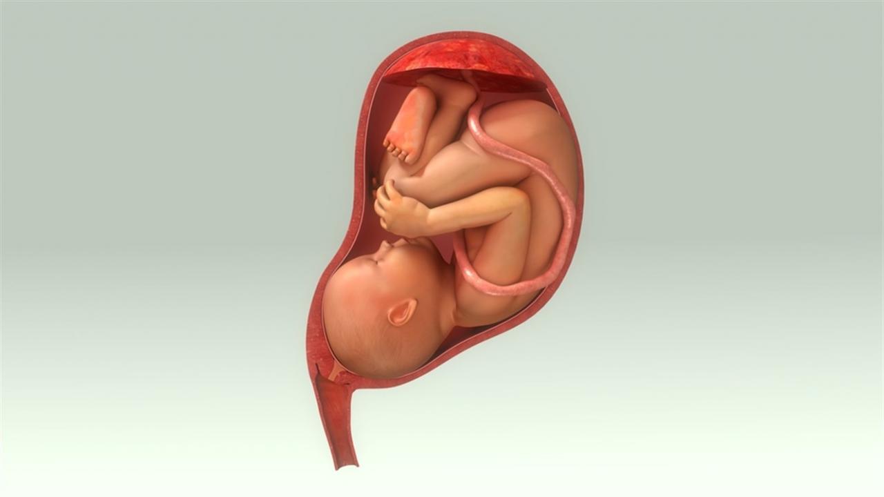 إليك بالتفصيل وضعية الجنين في الشهر الثامن