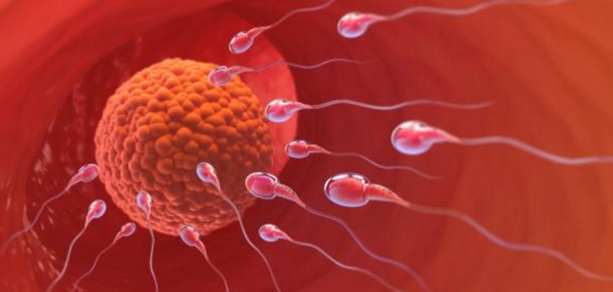 سبب_حدوث_اضطرابات_التبويض
