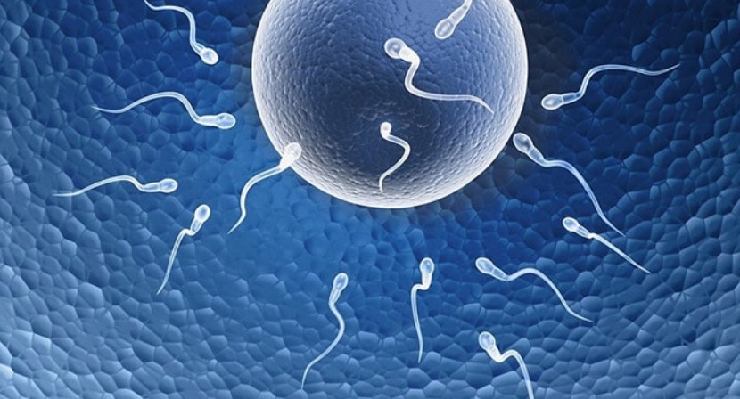 موانع_الحمل_الطبيعية_1