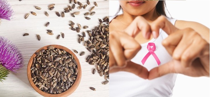كيف يساعد حليب الشوك في علاج سرطان الثدي؟