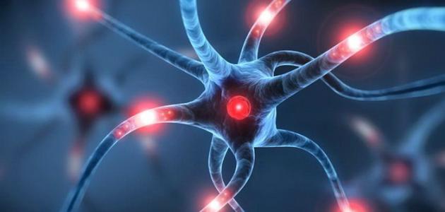 ما هي أعراض كهرباء المخ عند الكبار؟