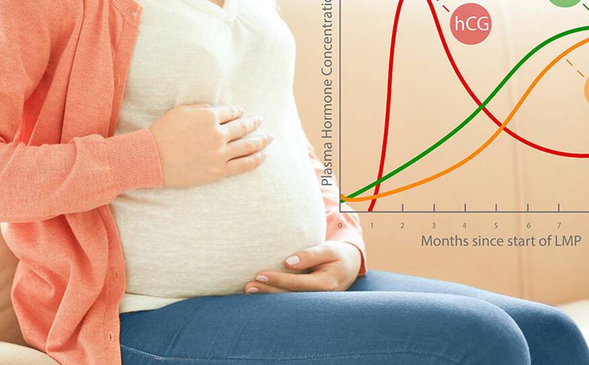 راقبي صحة حملك مع جدول نسبة هرمون الحمل 