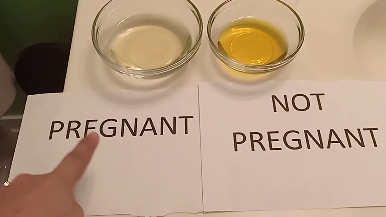 طريقة إجراء فحص الحمل بالكلور