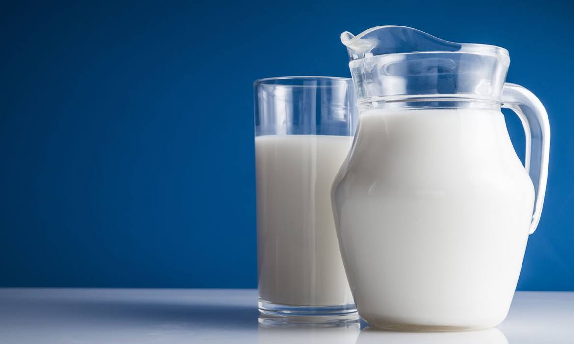 هل الحليب كامل الدسم يزيد الوزن؟