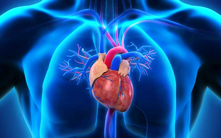ما هي اعراض ضعف عضلة القلب؟