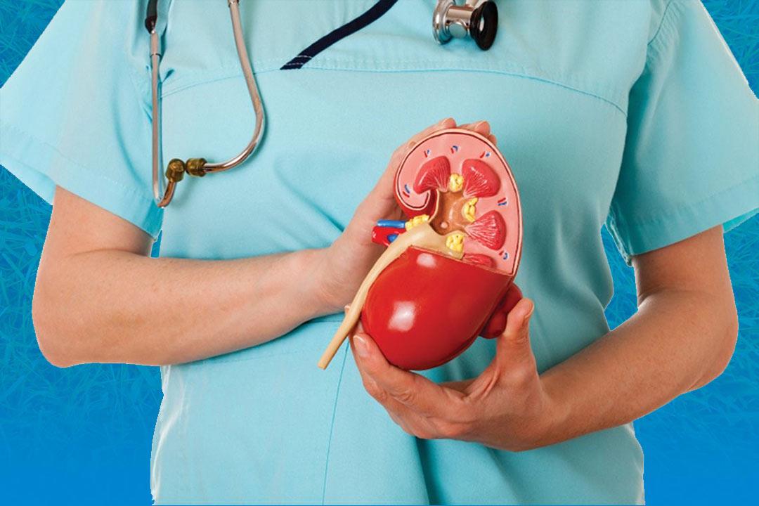 ما نسبة الكرياتين التي تؤدي إلى غسيل الكلى؟