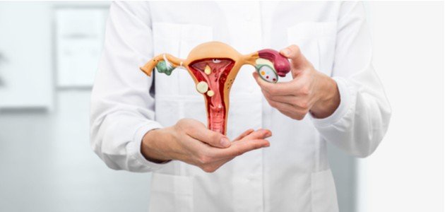 متى يغلق عنق الرحم بعد الإجهاض؟