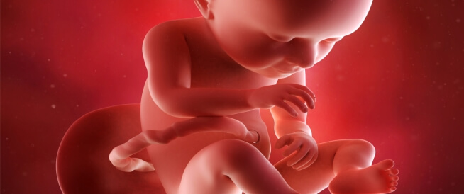هل من أشياء تساعد على ظهور نبض الجنين؟
