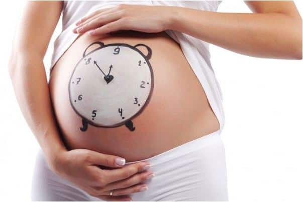 متى يبان الحمل بعد التلقيح بكم يوم؟