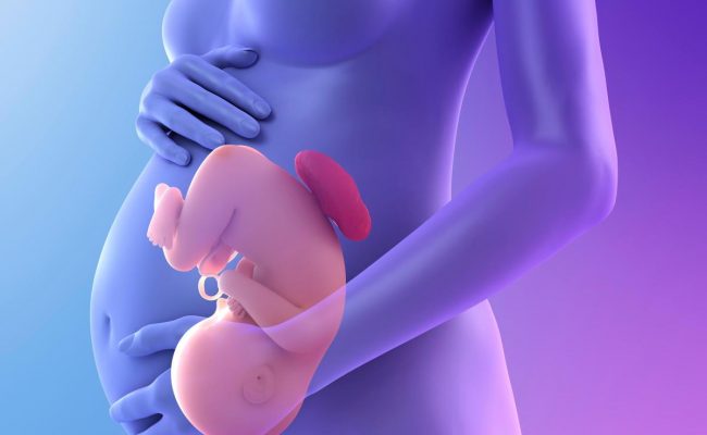 متى يغلق عنق الرحم في الحمل؟