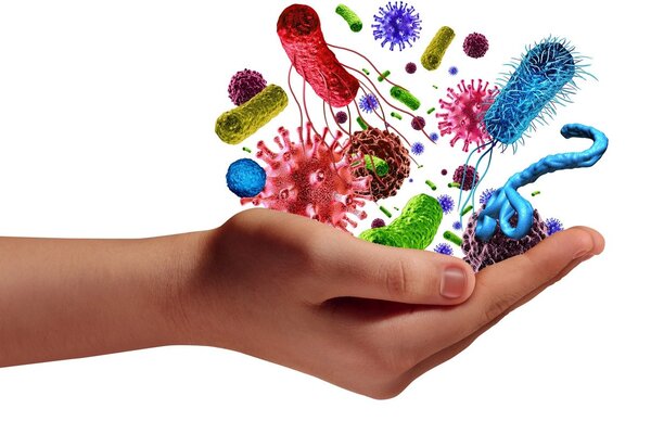 بكتيريا نافعة للاطفال (البروبيوتك)