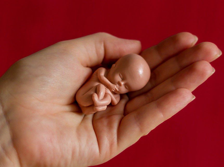 ما هي علامات الطهر بعد الإجهاض؟