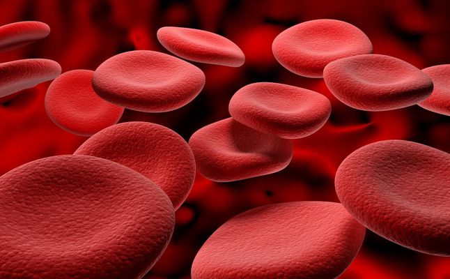 لا تنتقل خلايا الدم الحمراء