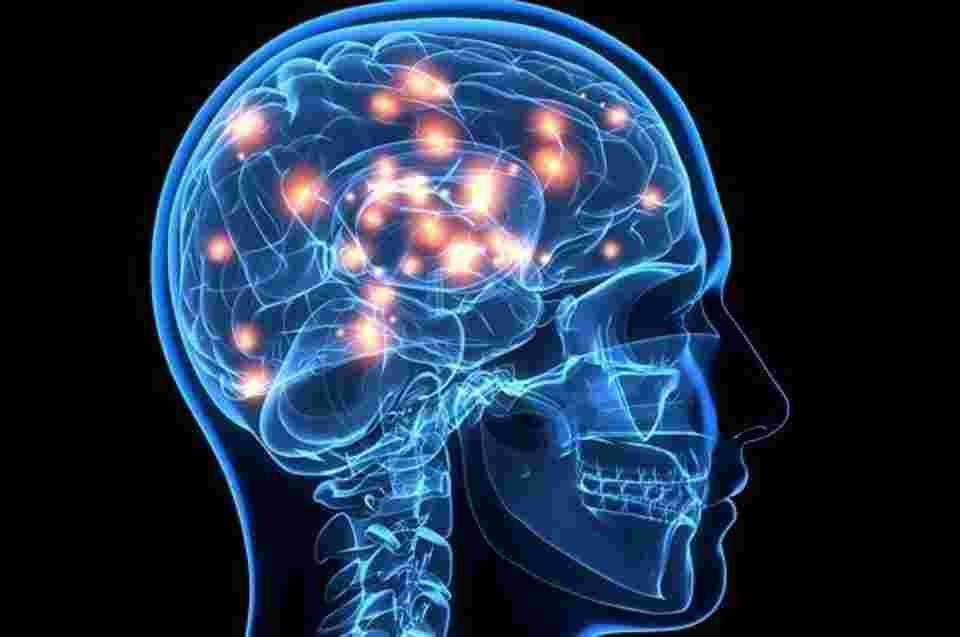 هل يمكن الشفاء من التهاب الدماغ؟
