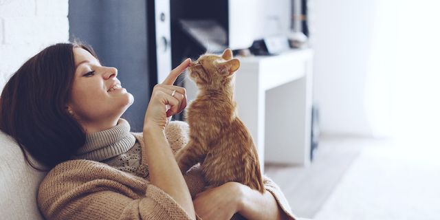 هل القطط تسبب الثعلبة للانسان؟