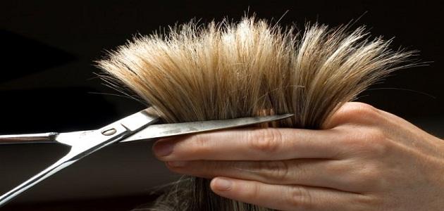 ما معنى حلق الشعر في المنام؟