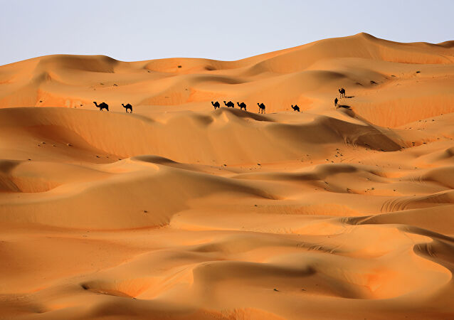 تفسير رؤية الصحراء في المنام