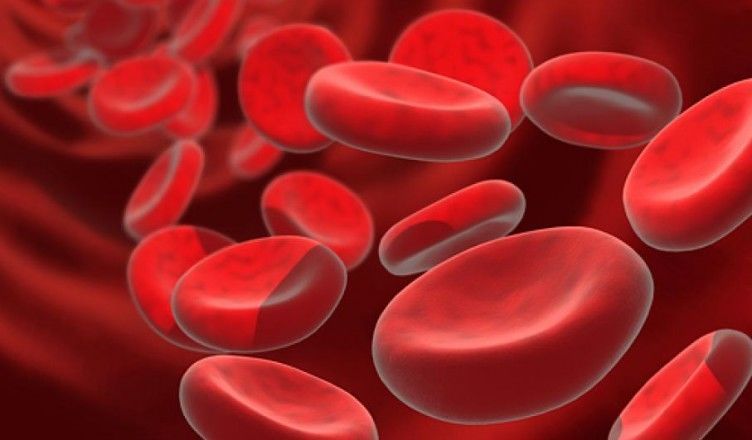 فقر الدم الخبيث: أسبابه واعراضه وعلاجه