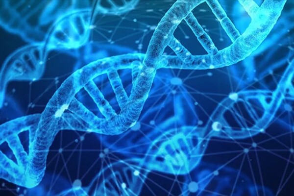 ما الفرق بين المرض الجيني والمرض الوراثي؟