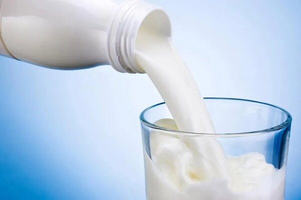 هل الحليب يبطل مفعول حبوب الغدة؟